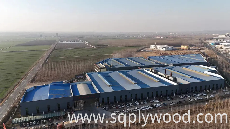 High Quality E0 Melamine Laminated Plywood for Furniture